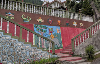 FOUR ELEMENTS IN HARMONY