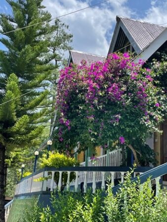 Resort Front View-min